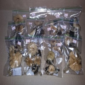 buy magic mushrooms online