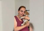 pp shiba inu