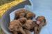 Hungarian vizle puppies obrázok 1