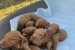 Hungarian vizle puppies obrázok 2