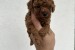 Toy red poodles! obrázok 1