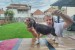 Beagle šteniatka na predaj obrázok 3