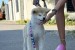 Akita Inu Female Puppies obrázok 3