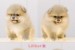 I am selling Pomeranian puppies obrázok 2