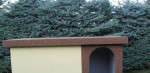 Buda pre psa – fotka 2