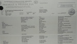 Bernardín s PP – fotka 4