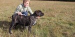 Cane corso – fotka 2