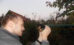 Yorkshirsky terier – fotka 3