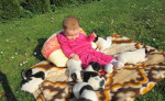 Predám šteniatka Jack Russel Teriér – fotka 4