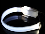 Led obojok – fotka 2