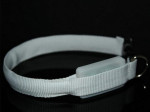 Led obojok – fotka 3