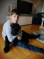 Giant Schnauzer – fotka 3